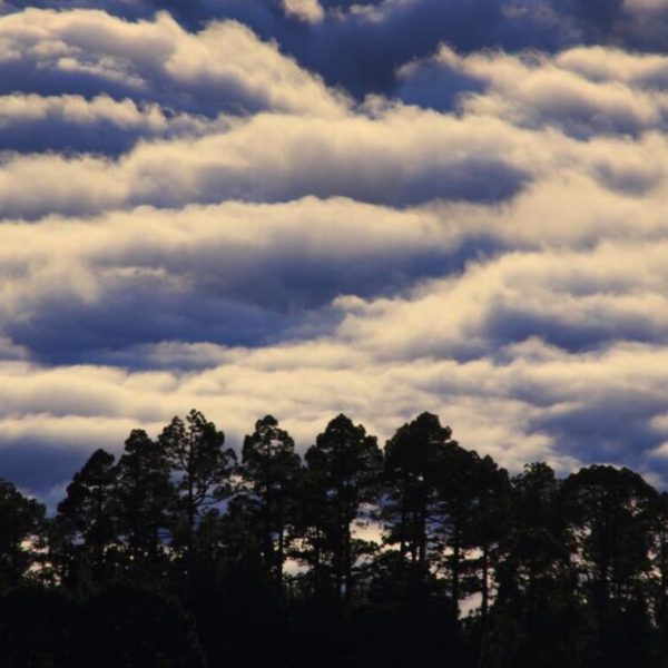 Mr. Bike Teide Tour Ticket